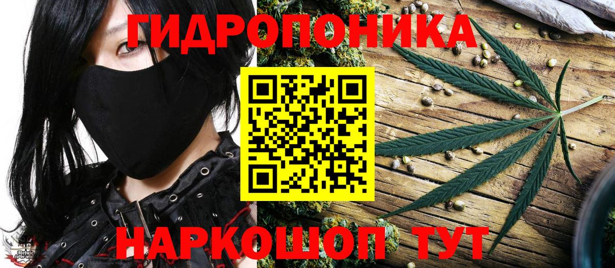 Бошки Шишки Bruce Banner Шелехов
